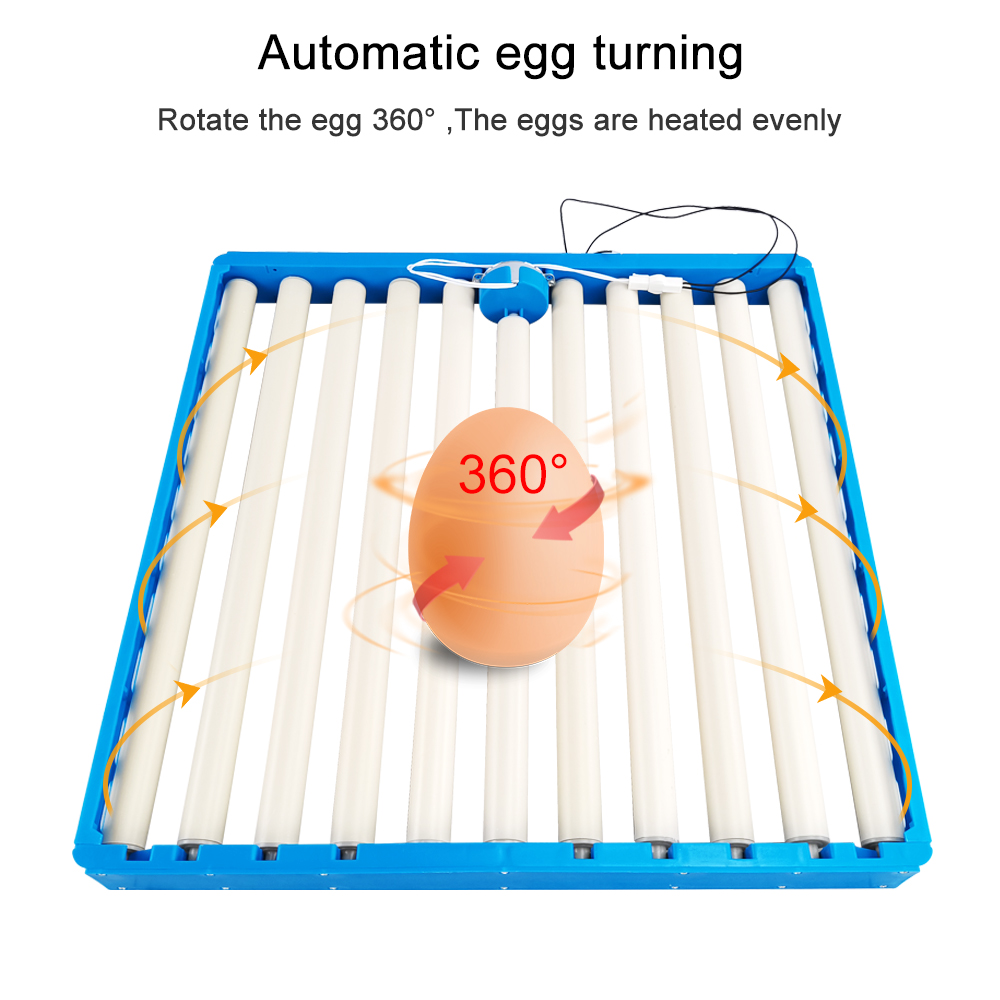Hunting Quail - Incubateur de 70 œufs automatique 360