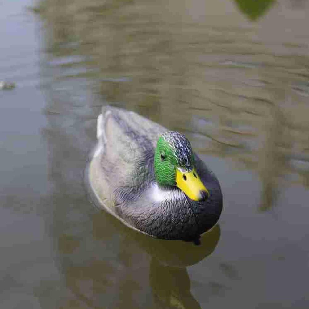 Décoy de canard flottant, simu - Decoy Duck Plastic avis et prix