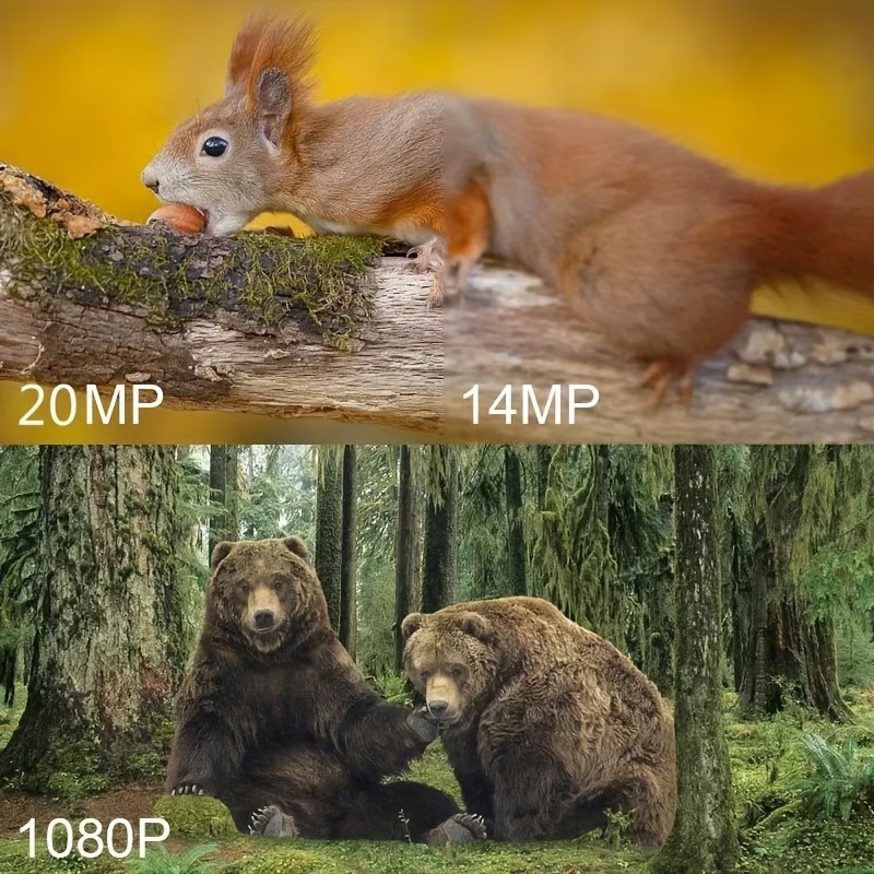 Caméra de chasse en plein air  - Outdoor Hunting Camera Wireless avis et prix