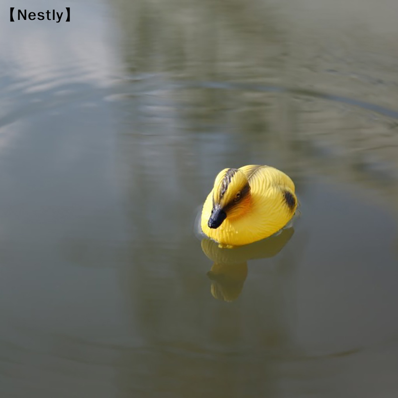 Statue de canard flottant pour - Decoy Duck Plastic avis et prix