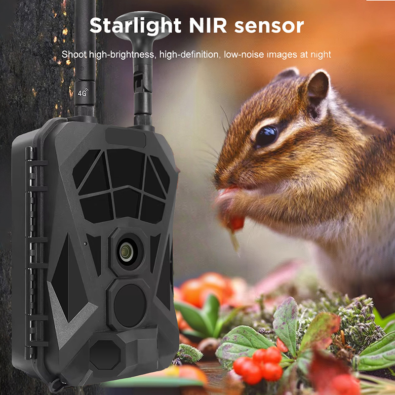 Caméra de chasse infrarouge sa - Outdoor Hunting Camera Wireless avis et prix