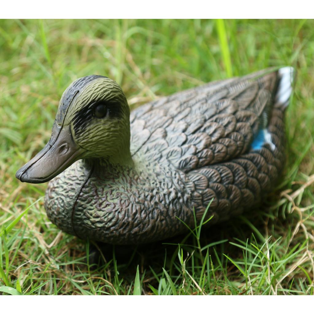 Décoy de chasse aux oiseaux fa - Decoy Duck Plastic avis et prix