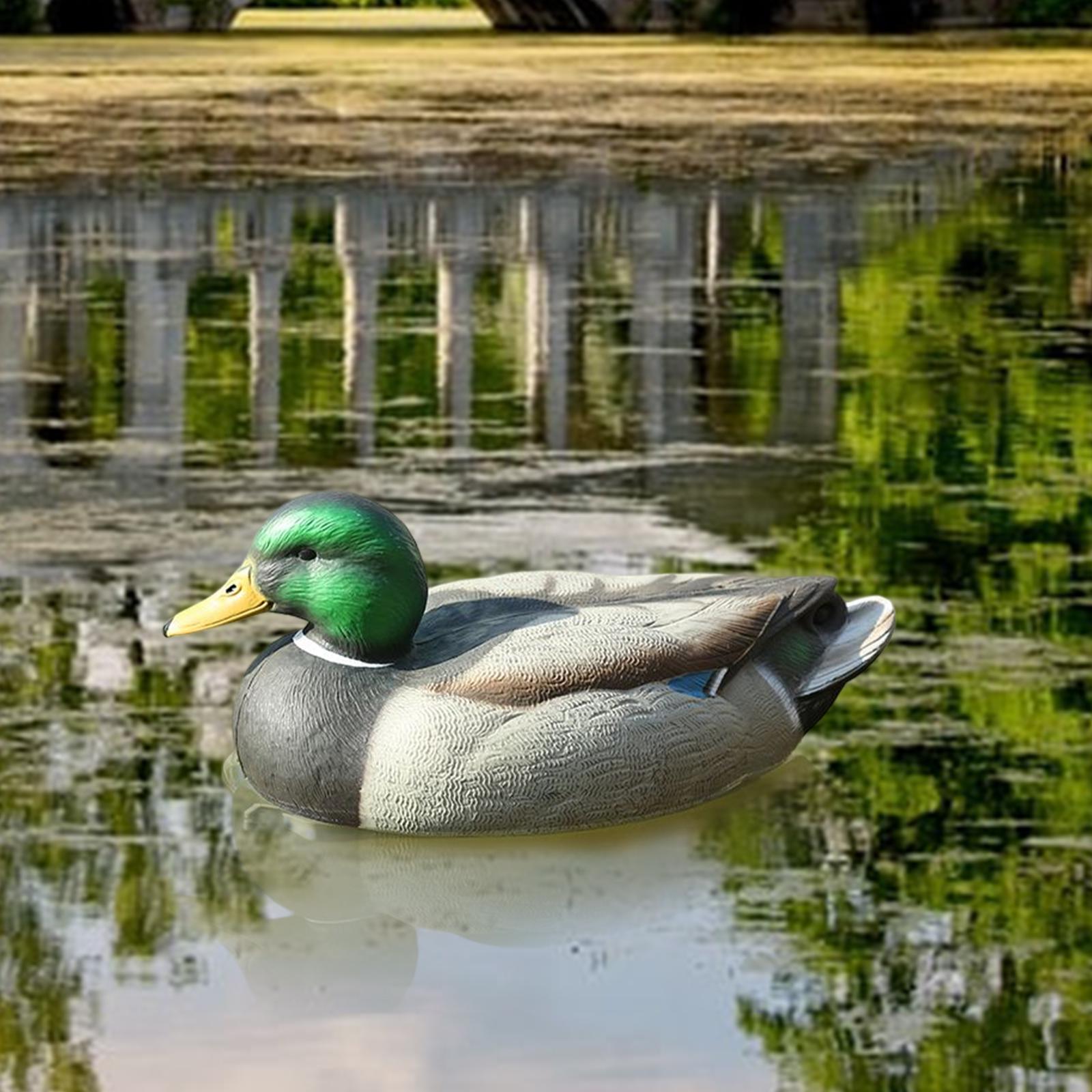 Leurre de chasse en plastique  - Decoy Duck Plastic avis et prix