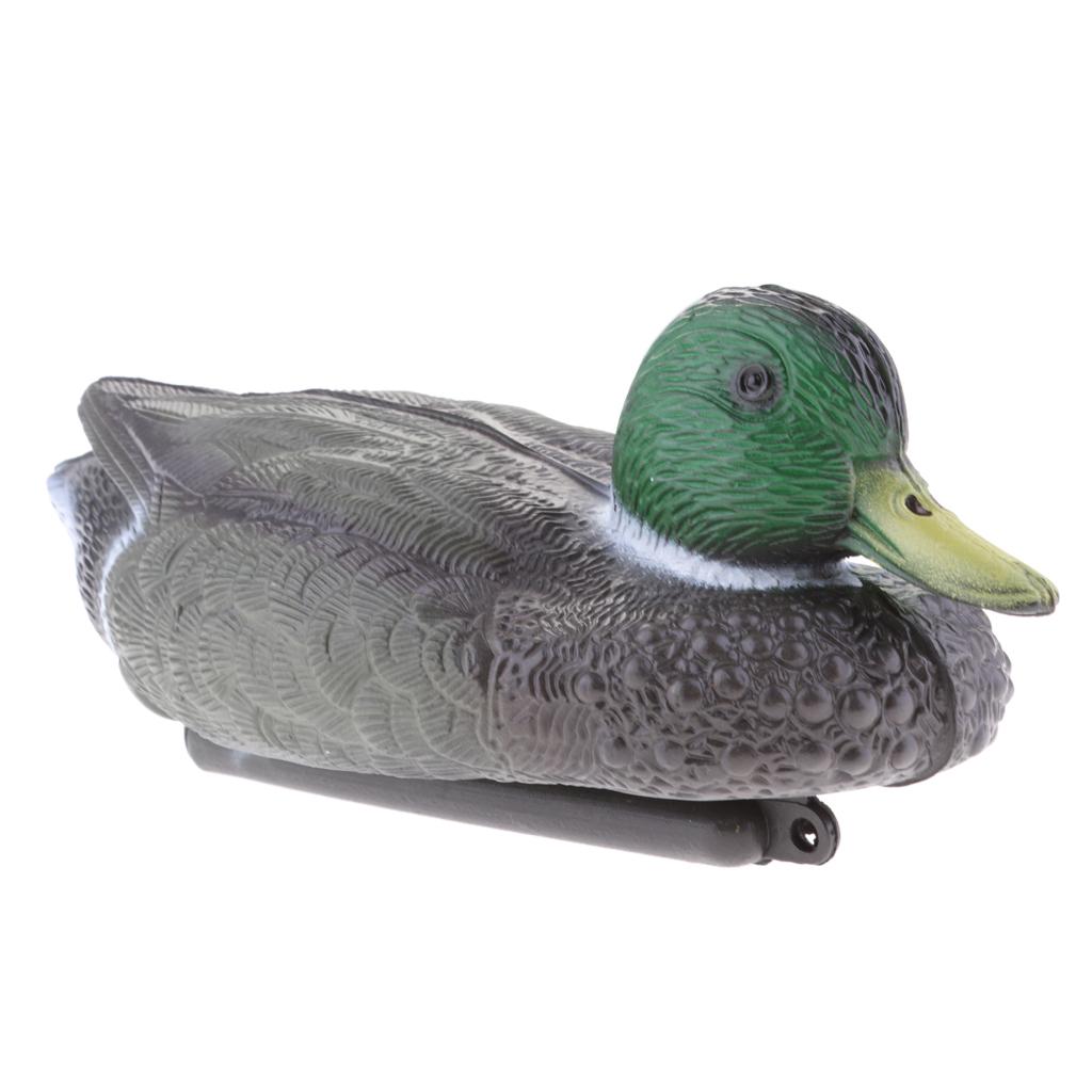 Décoy de canard en plastique r - Decoy Duck Plastic avis et prix
