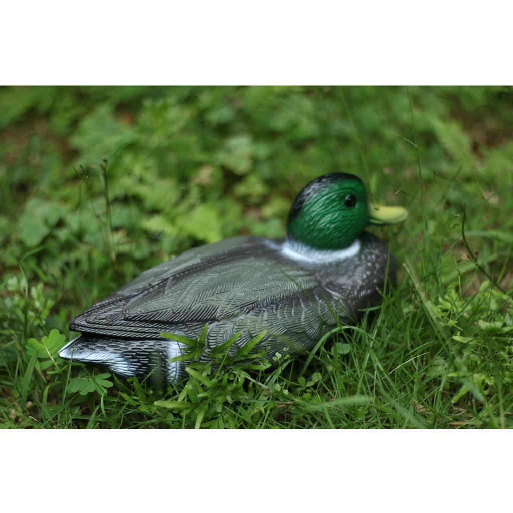 Décoy de canard en plastique r - Decoy Duck Plastic avis et prix