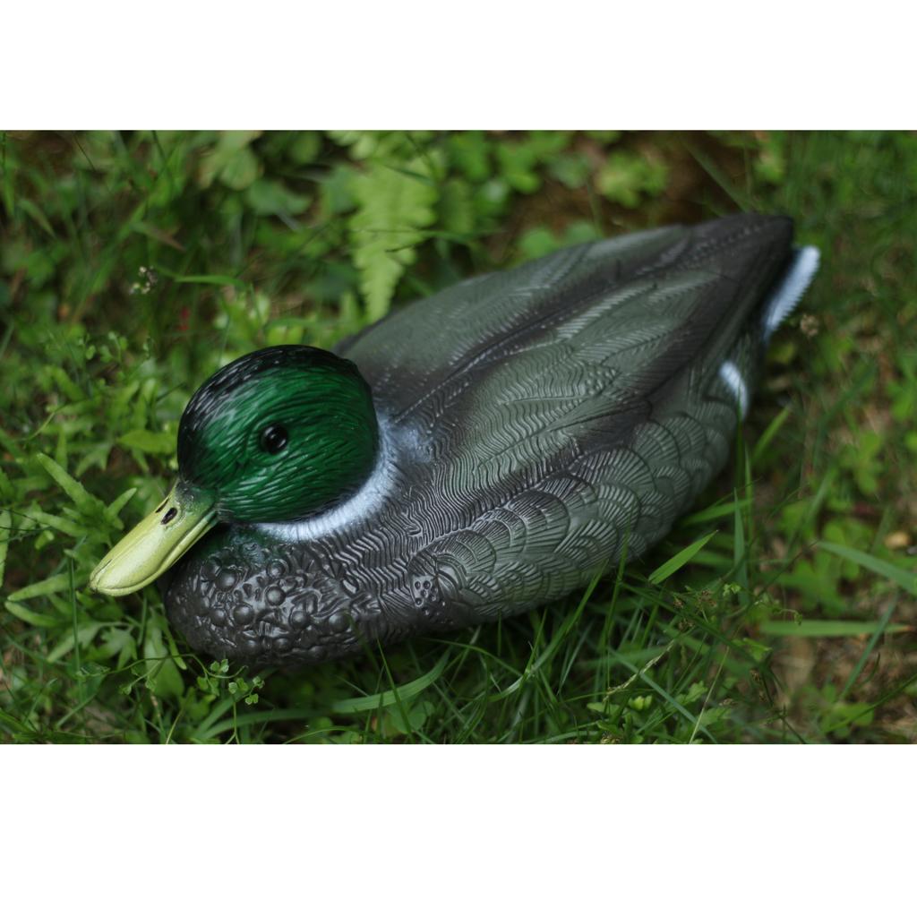 Décoy de canard en plastique r - Decoy Duck Plastic avis et prix