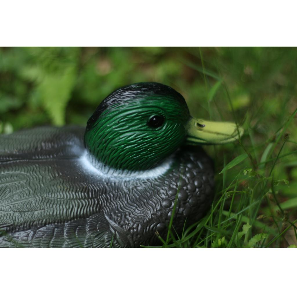 Décoy de canard en plastique r - Decoy Duck Plastic avis et prix