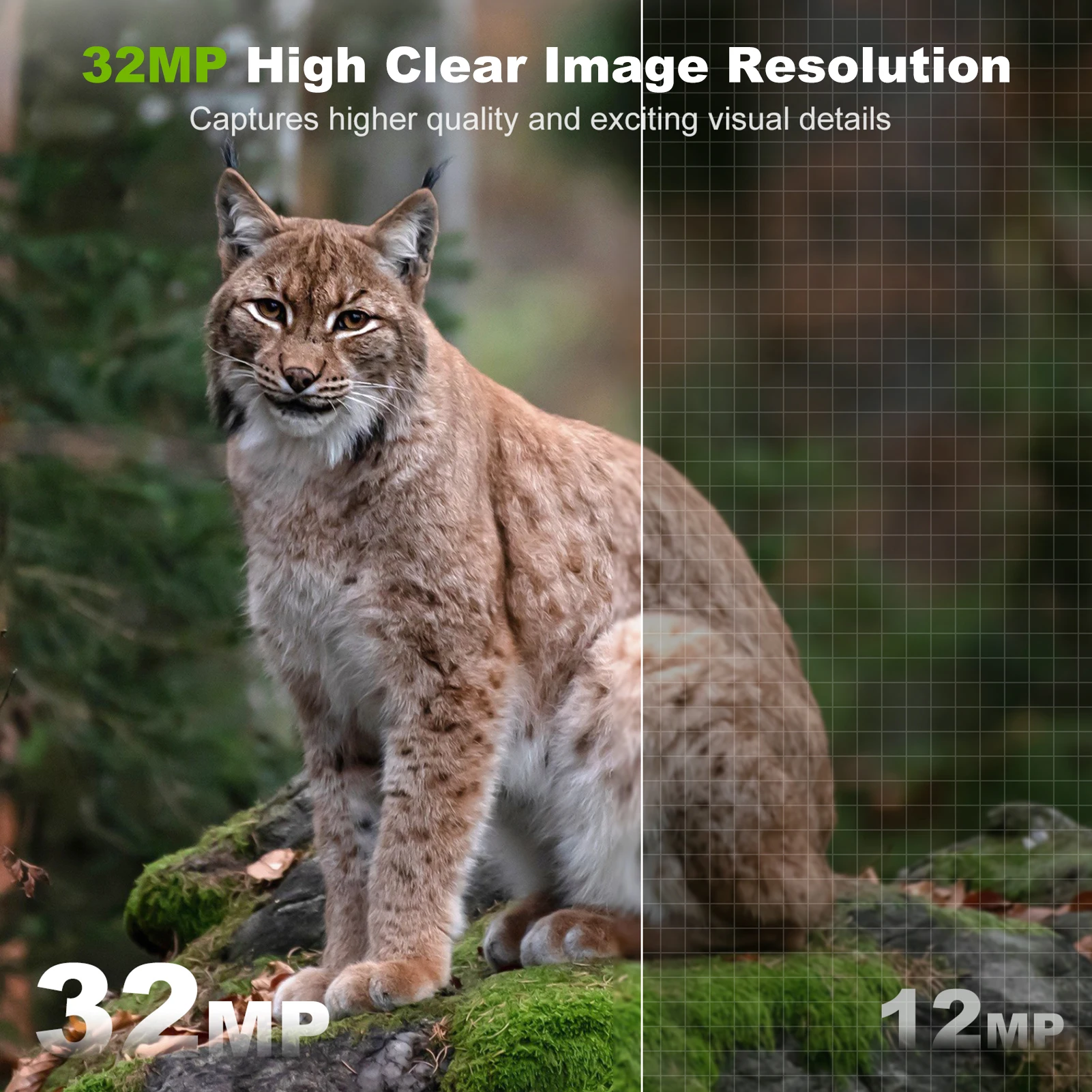 Caméra solaire extérieure sans - Outdoor Hunting Camera Wireless avis et prix