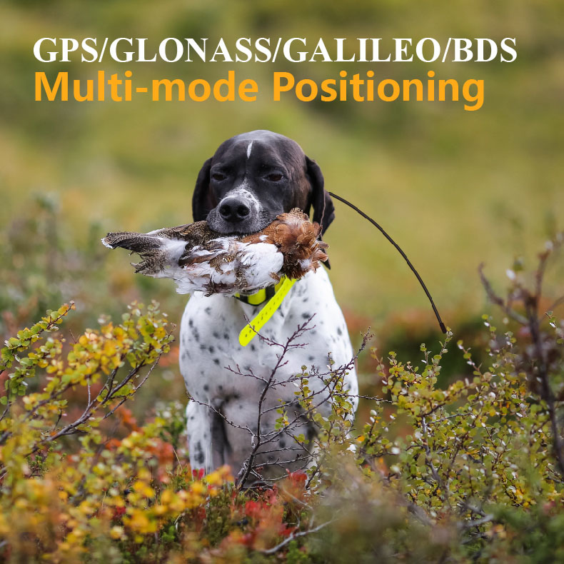 Traceur GPS mondial pour anima - Outdoor Hunting Dog Supply avis et prix